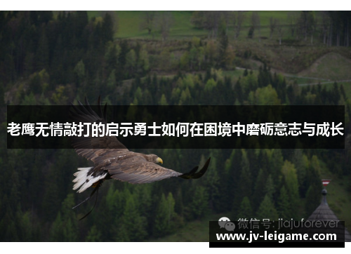 老鹰无情敲打的启示勇士如何在困境中磨砺意志与成长 老鹰无情敲打的启示勇士如何在困境中磨砺意志与成长