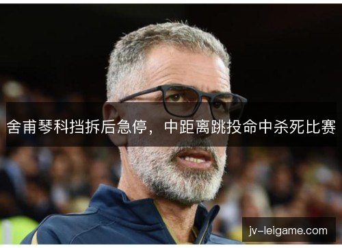舍甫琴科挡拆后急停，中距离跳投命中杀死比赛